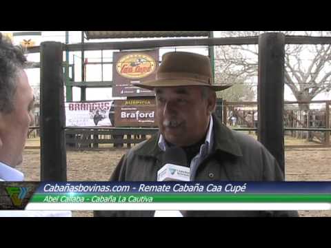 Cabañasbovinas.com - Abel Callaba
