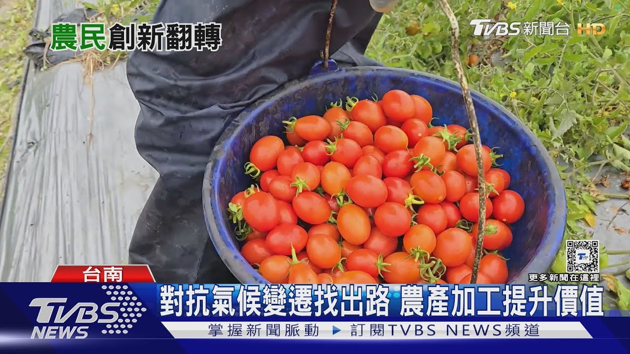 鹽地番茄打響知名度!果乾、Q糖、牛肉麵打進市場