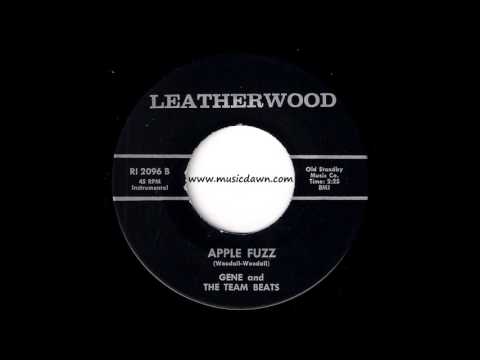 Gene and The Team Beats - Apple Fuzz [Leatherwood] 1965 Garage Mod Soul 45 Video