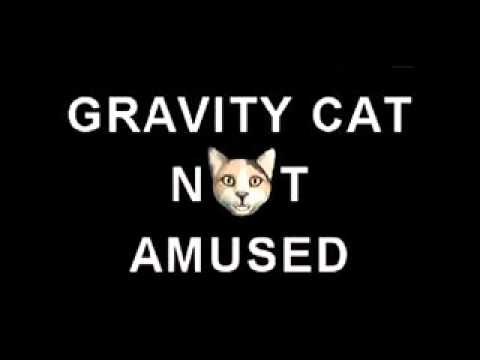 Gravity Cat Not Amused theme Song Complete