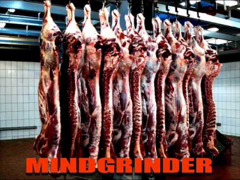 MINDGRINDER - Gutted Like A Pig (industrial death metal)