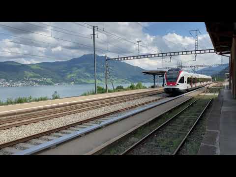 SBB S3 Arth-Goldau - Luzern