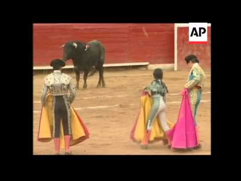 Profile of 11-year-old bullfighter