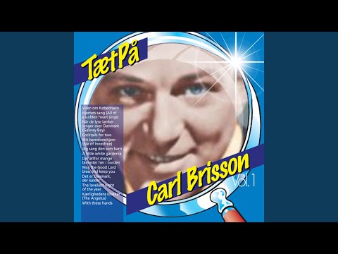 A little white gardenia