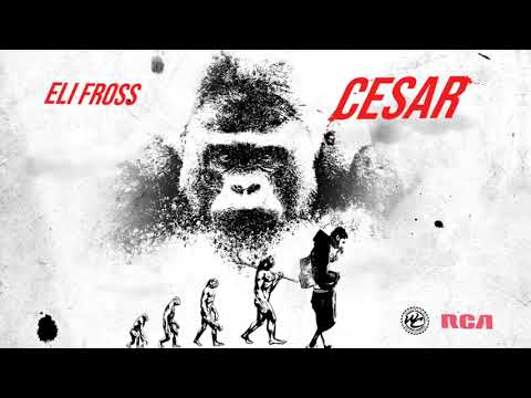 Eli Fross - Mental (Visualizer)