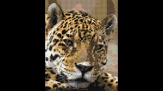 cross stitch world - leopard