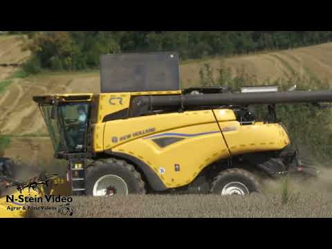 🌾 Wheat harvest 2025 – NEW Holland CR8.80 in action | Modern agricultural technology in action