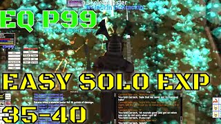 P99 EQ EASY Solo exp camp (if done right) / EverQuest Project 1999 Shaman Level 39 green server