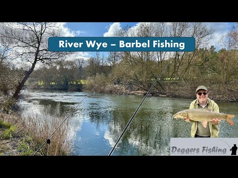 River Wye Barbel Fishing