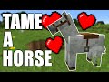 How To Tame A Horse In Minecraft All Versions