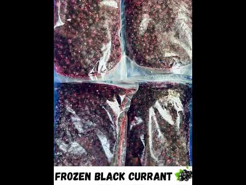 Natural frozen blackcurrant berries, packaging size: 1 kg, p...