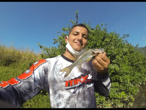 PESCARIA DE ROBALO NO ULTRA LIGHT