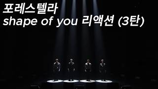 해외반응 포레스텔라 shape of you (3탄) 리액션 한글자막  이제 이 노래는 포레 노래라는 외국인
