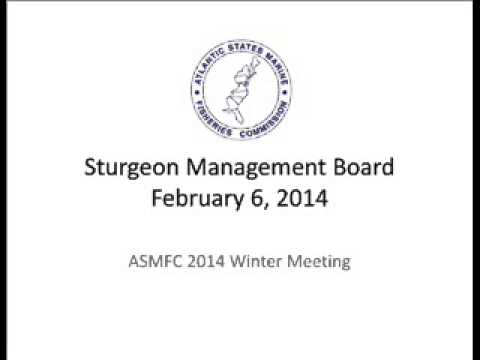 ASMFC Sturgeon Board Winter 2014