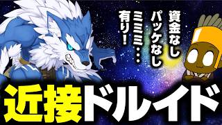 近接ガチ勢が触るドルイドの感触【ラグナロクオンライン】