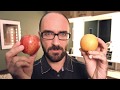 Vsauce but out of context