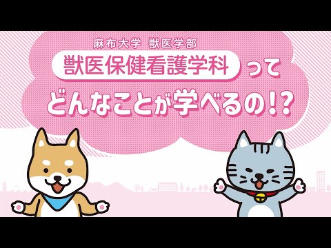 麻布大学 獣医保健看護学科の紹介