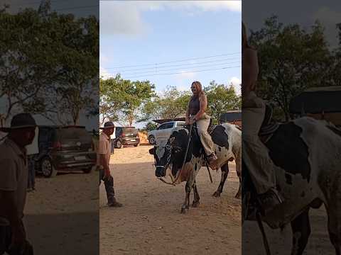 Cavalgada Em Passira Pernambuco