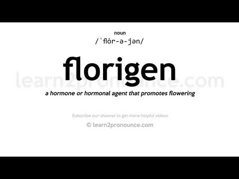 Pronunciation of Florigen | Definition of Florigen