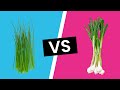 Chives vs Scallions - What's the Difference?