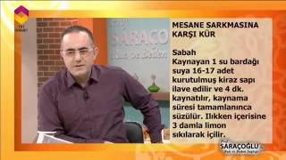 Mesane Sarkmasına Karşı Kür - TRT DİYANET