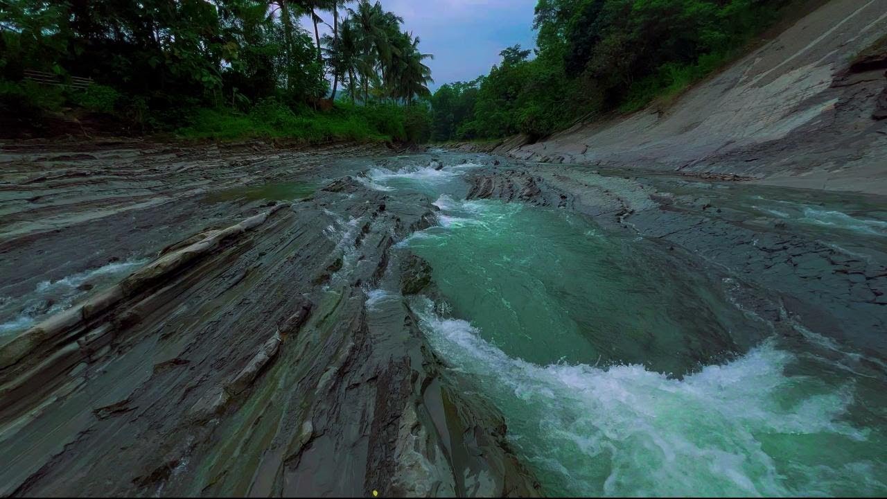 Soothing Stream Beneath Forest Canopy for Peaceful Meditation, Night Healing, Sleep, Study Immersion