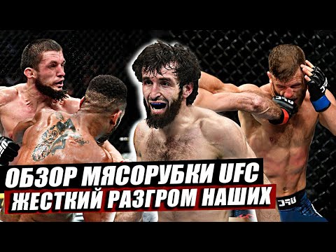 Обзор заруб наших на UFC Москва! Глухие нокауты! Разгром Россиян! Забит-Каттар, Волков. Нурмагомедов