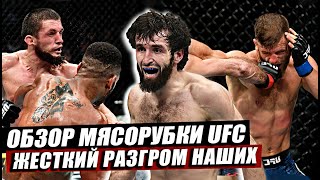 Обзор заруб наших на UFC Москва! Глухие нокауты! Разгром Россиян! Забит-Каттар, Волков. Нурмагомедов