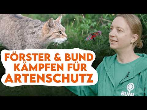 This PREDATOR lives secretly in our forests - Forestry explains x BUND
