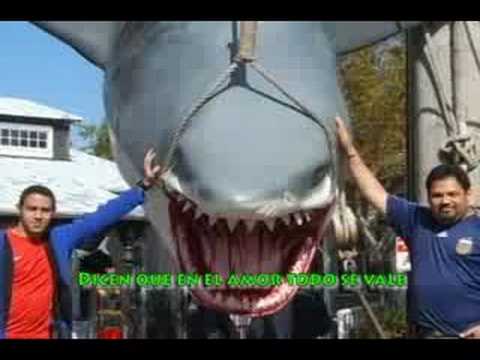 THE POWER OF LOVE IN ORLANDO FAMILIA ROMAN FERNANDEZ