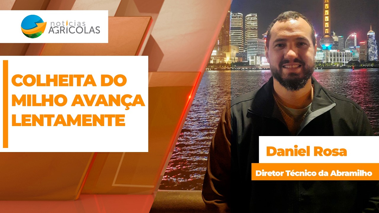 SAFRA E MERCADO DO MILHO - EDIÇÃO 03-07-2026