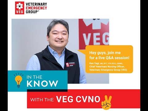 In the Know With the CVNO