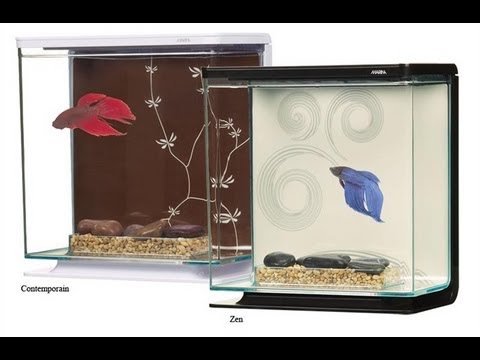 Аквариум Marina Betta Kit Boy FireWorks Аквариум Marina Betta Kit Boy FireWorks