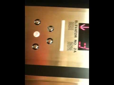 Haughton Elevators  at Norfolk general