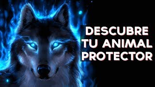 Que animal te protege? Descubre cual es tu animal protector con este divertido test! ↠↠ ¡No te olvides de suscribirte para no perderte ningún test!