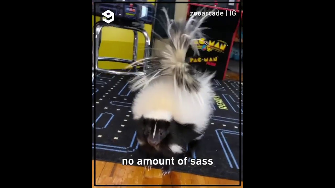 the kitchen is closed!