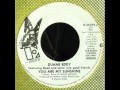Duane Eddy w/ Deed & Friends - You Are My Sunshine (Mono Mix)