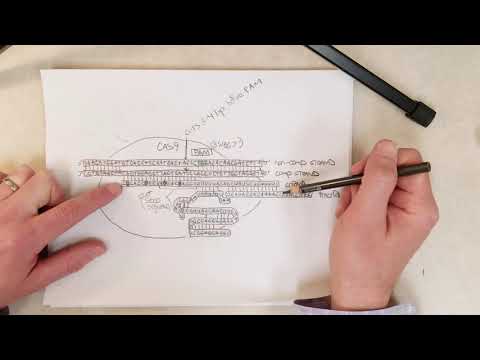 Genetics: L29-B, CRISPR: Cas9, tracrRNAs, crRNAs (Recommend 1.5x Speed)
