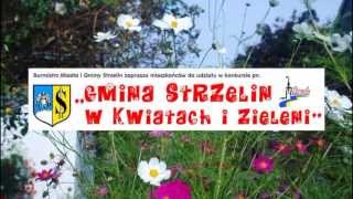 preview picture of video 'Gmina Strzelin w kwiatach i zieleni'