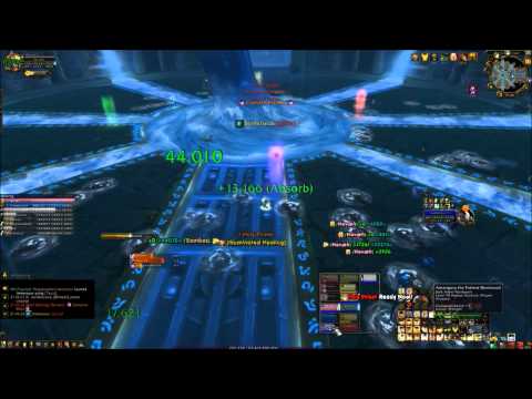 Immersues - Flex Raid