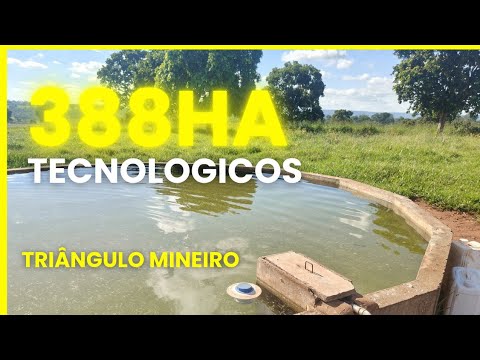 Fazenda de Alta Produtividade em Campina Verde/MG - 388 Hectares com Tecnologia de Ponta
