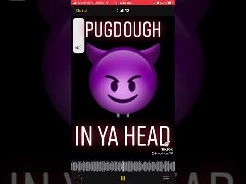 PugDough X in ya head Promo only￼