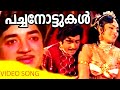 Malayalam Video Song Pachanottukal Hd Video Song