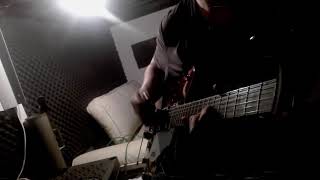 The Stone Roses - What the World is Waiting For - GUITAR COVER