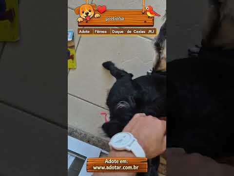 Vídeo de pretinha