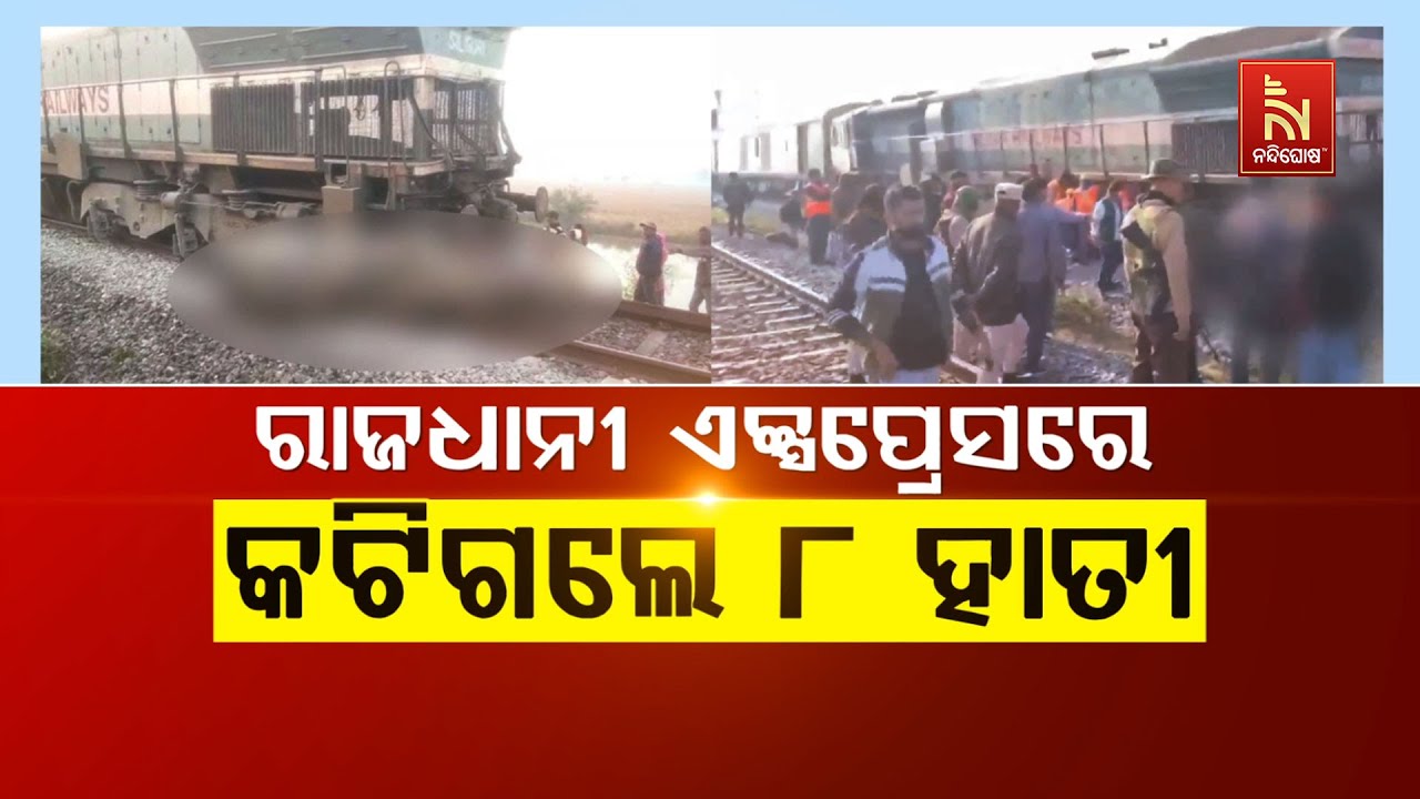 🔴 Live | ରାଜଧାନୀ ଏକ୍ସପ୍ରେସରେ କଟିଗଲେ ୮ ହାତୀ |  Rajdhani Express Mows Down 8 Elep