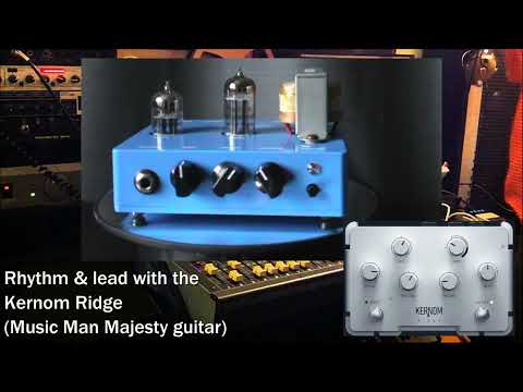Hagerman Amplification HALF WATT image 6