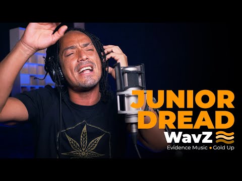Junior Dread & Little Lion Sound - Desperation | WavZ Session [Evidence Music & Gold Up]