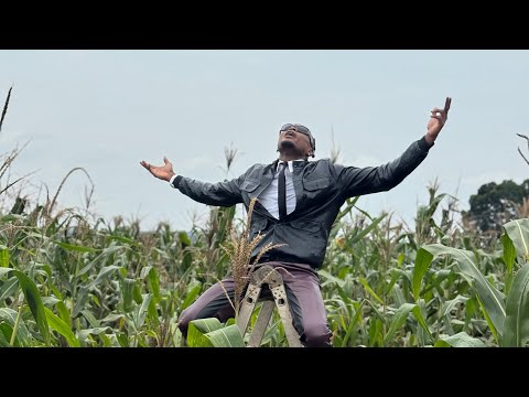 Pallaso - Bikyuuka (Official Video)
