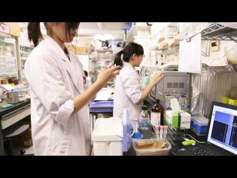 生命科学部 分子微生物学科